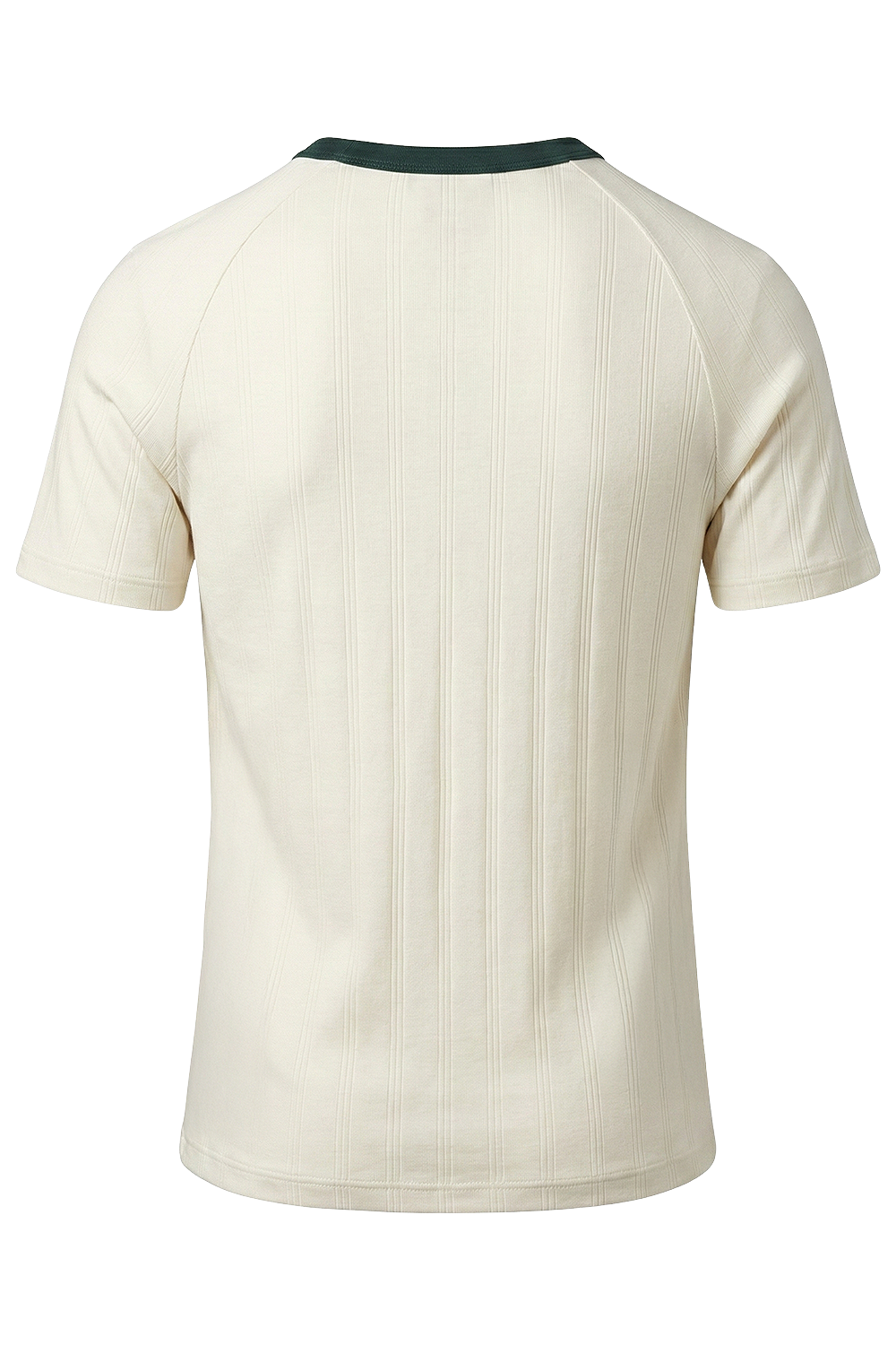 תמונה אחורית של חולצת טי