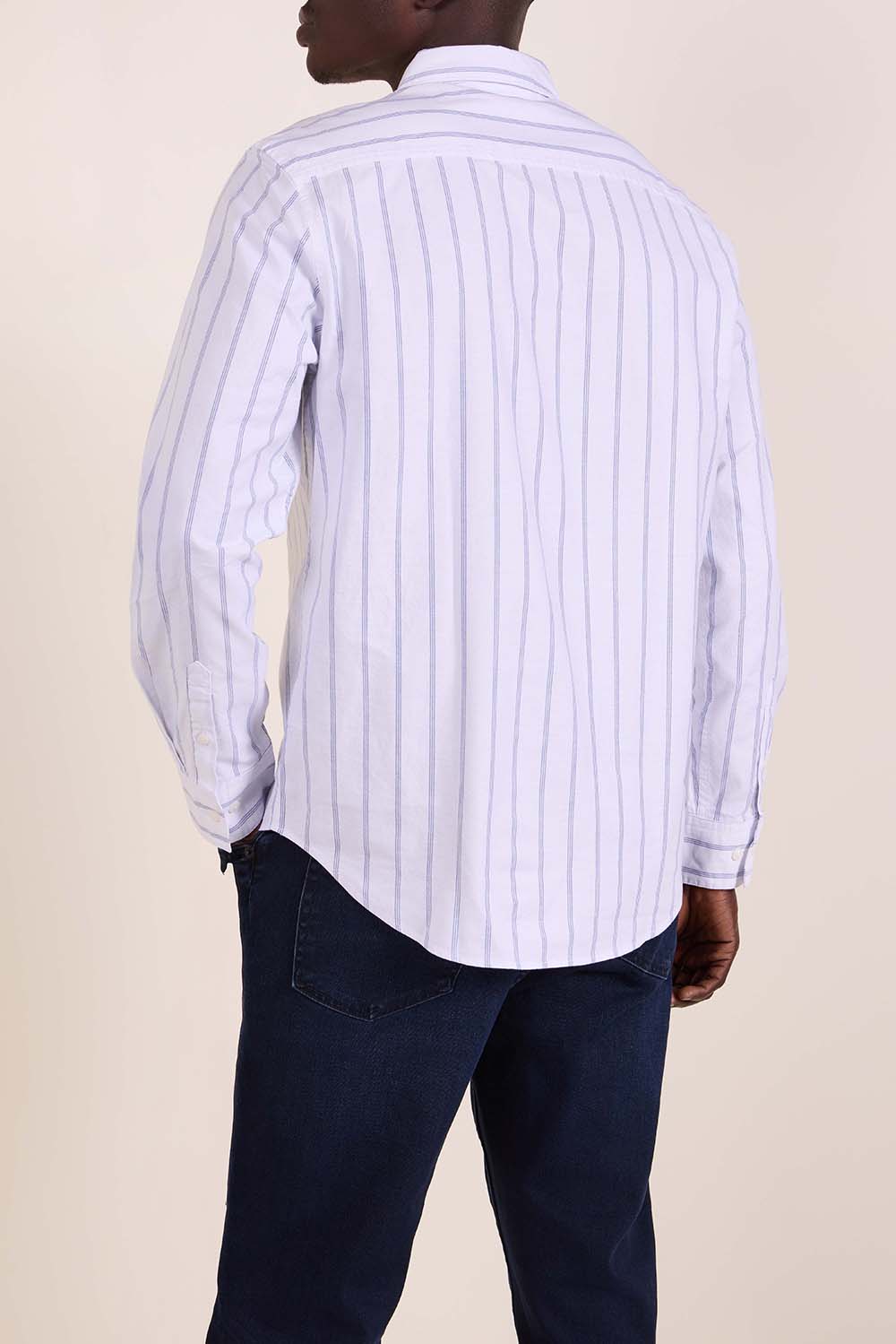 תמונת דוגמן אחורית של חולצה מכופתרת פסים