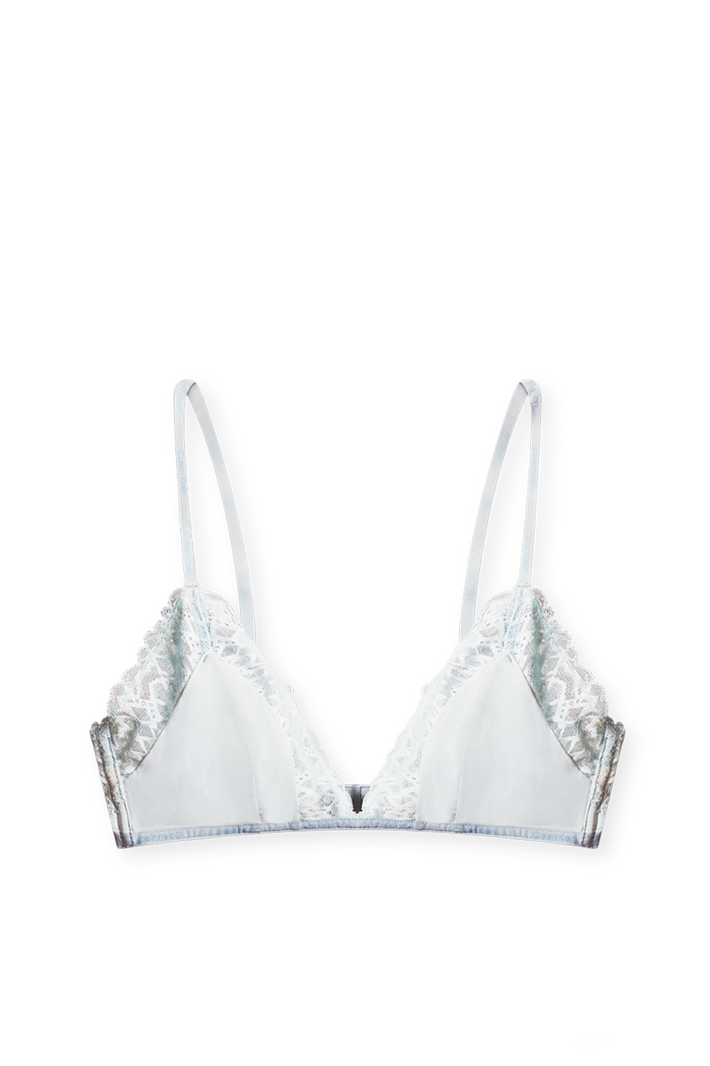 תמונה אחורית של חזיית משולשים