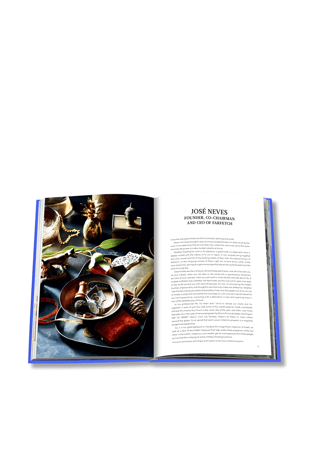 תמונת פנים של הקולקציה היוקרתית - סודות המלון