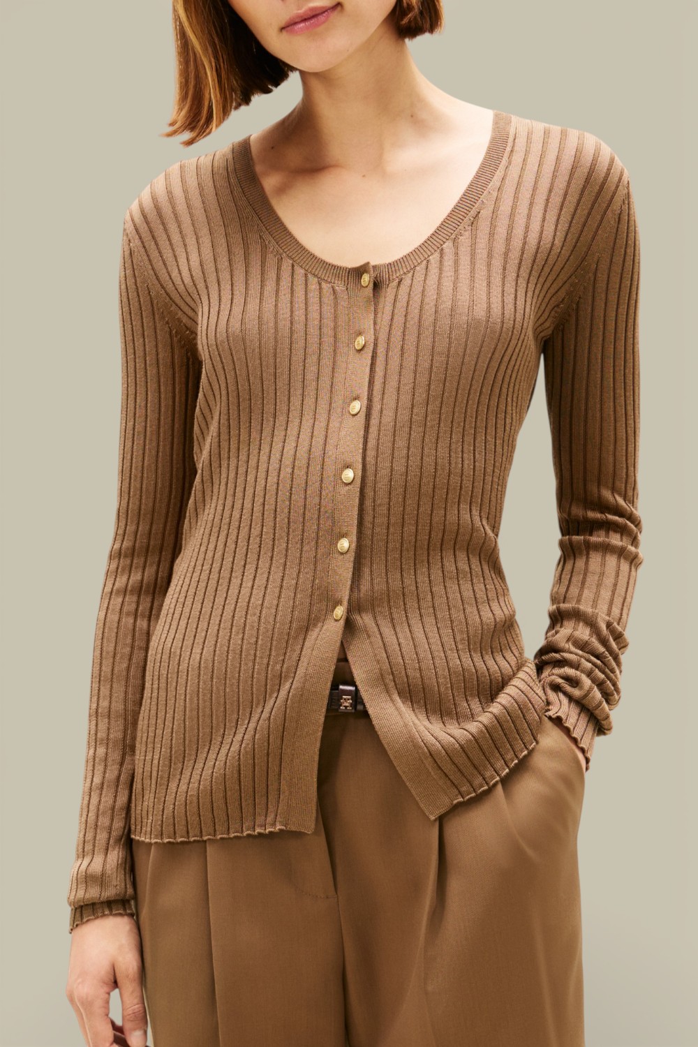 תמונת דוגמן קידמית של קרדיגן ויסקוזה