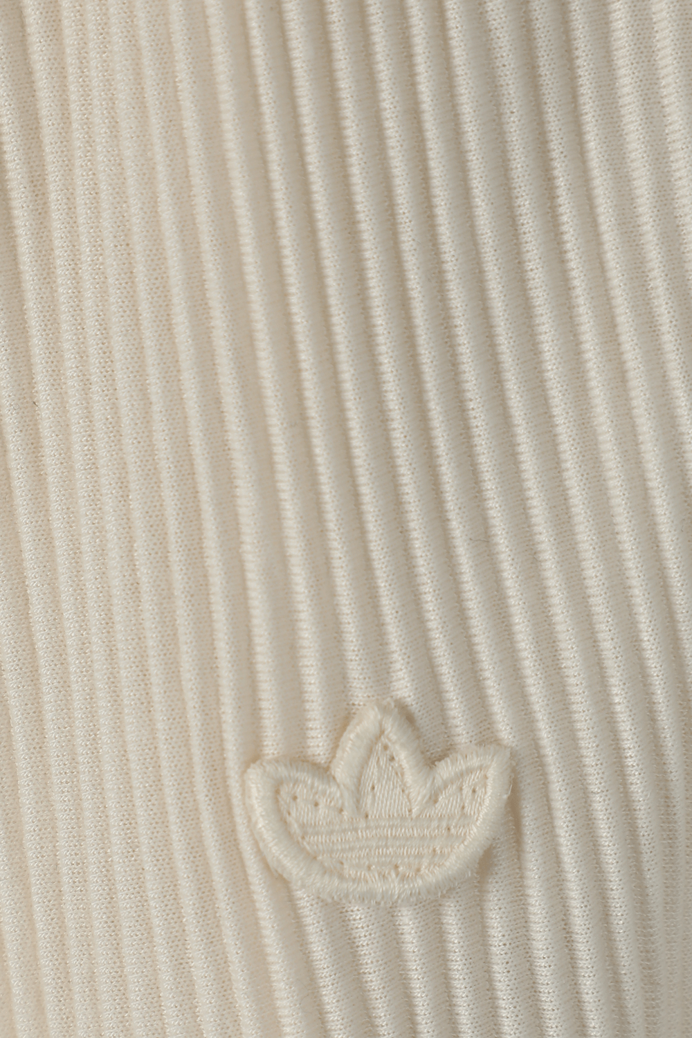 תמונה אחורית של מכנסי ריב קצרים בגוון שמנת