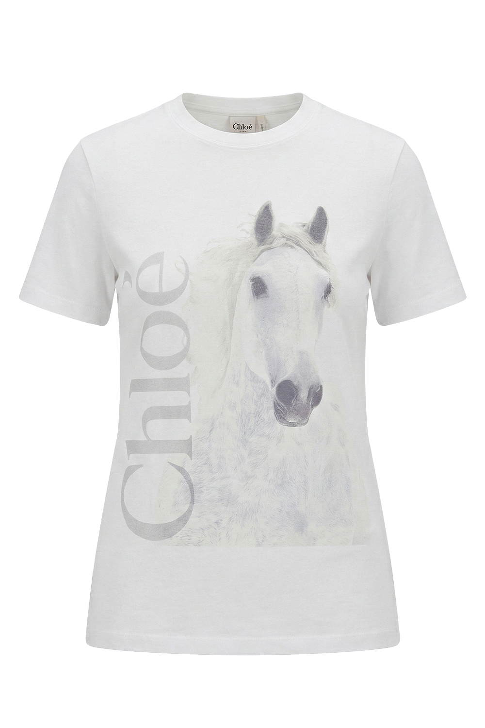 תמונה קידמית של חולצת טי