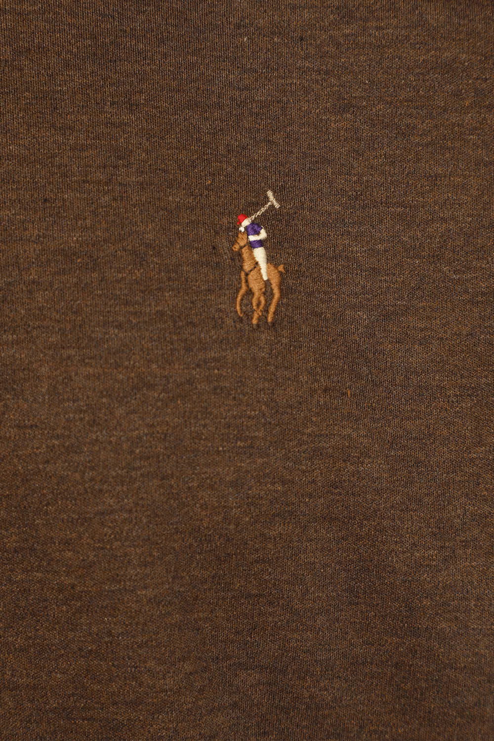 תמונה אחורית של Logo Polo Shirt in Brown