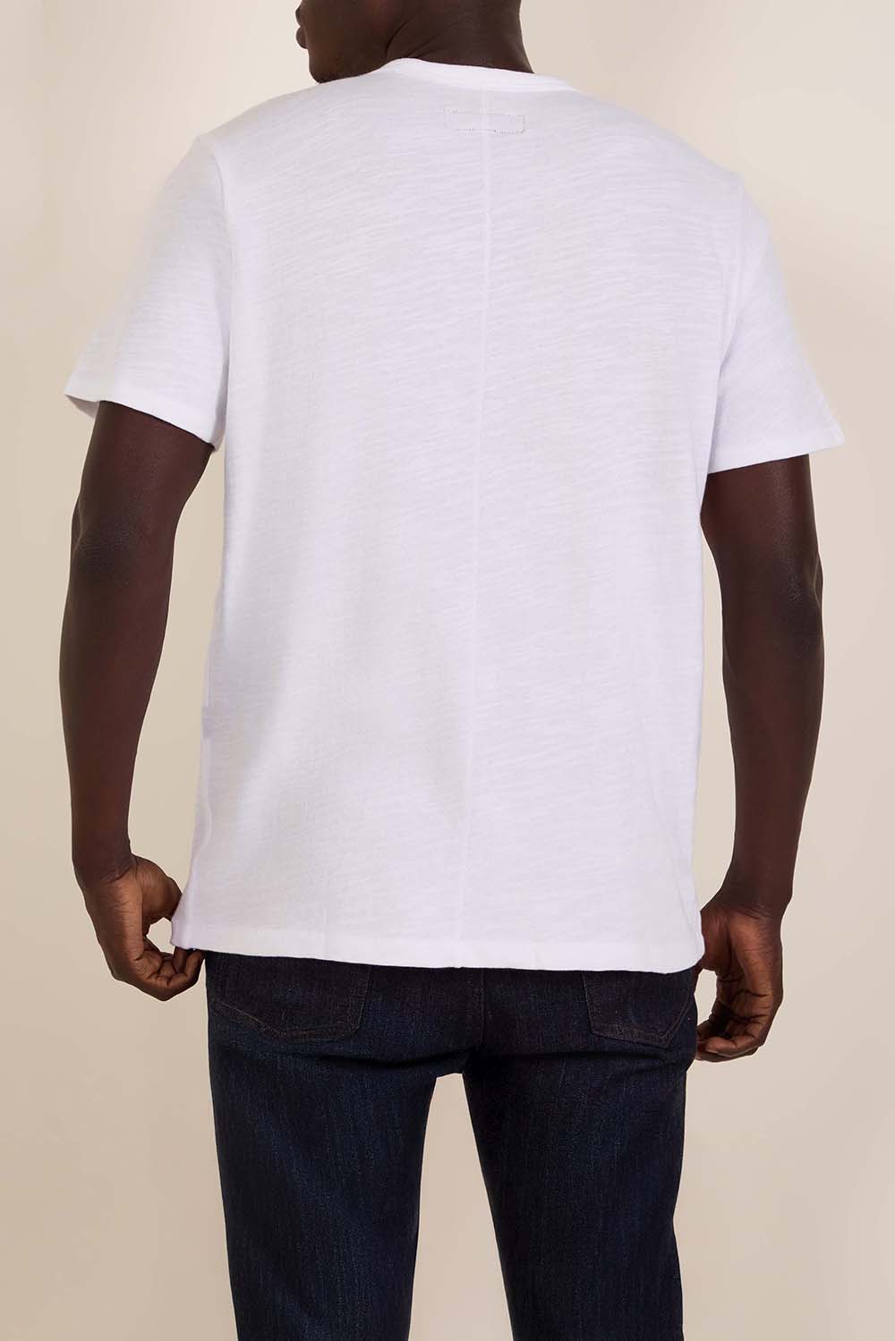 תמונת דוגמן אחורית של חולצת טי