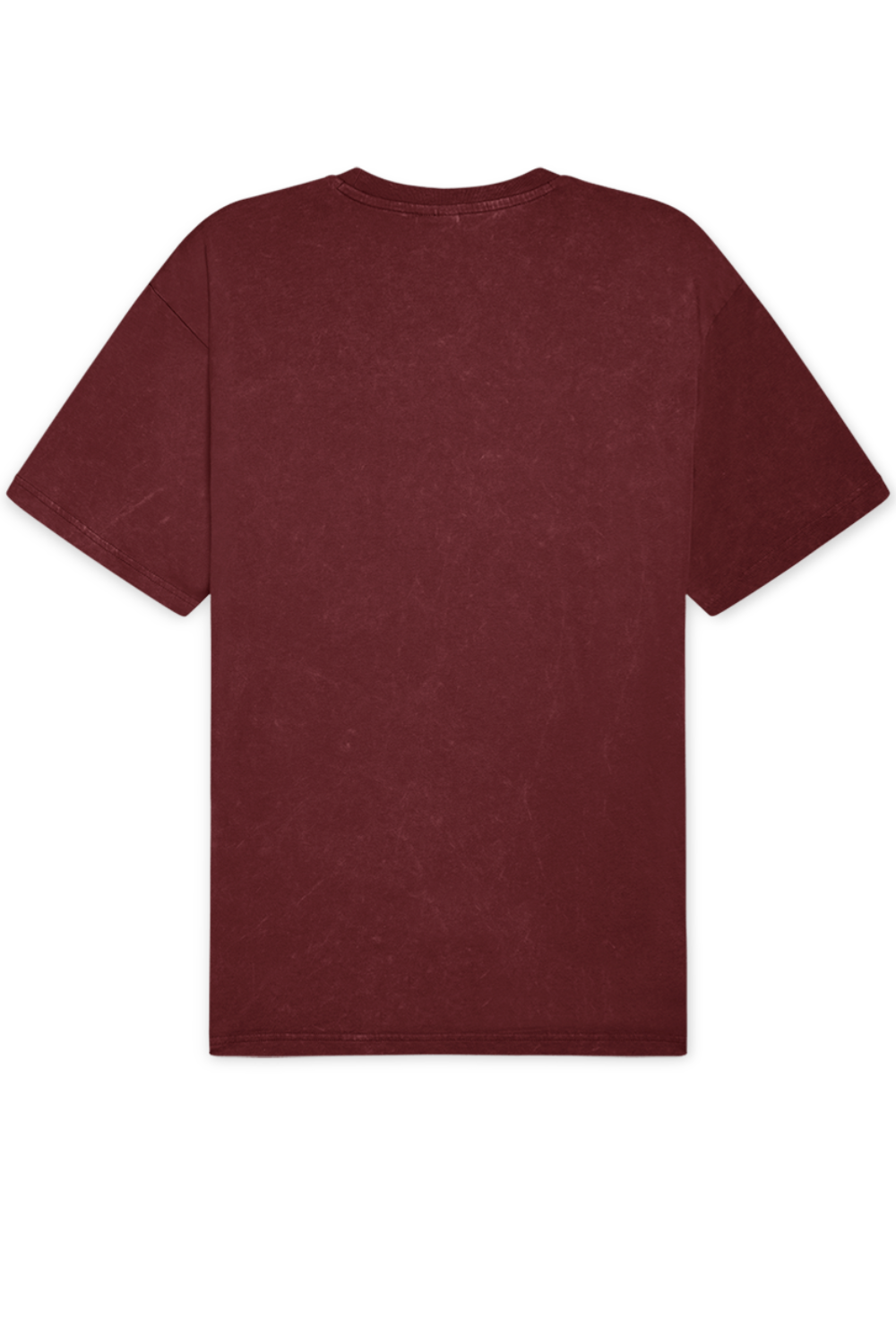 תמונה אחורית של חולצת טי