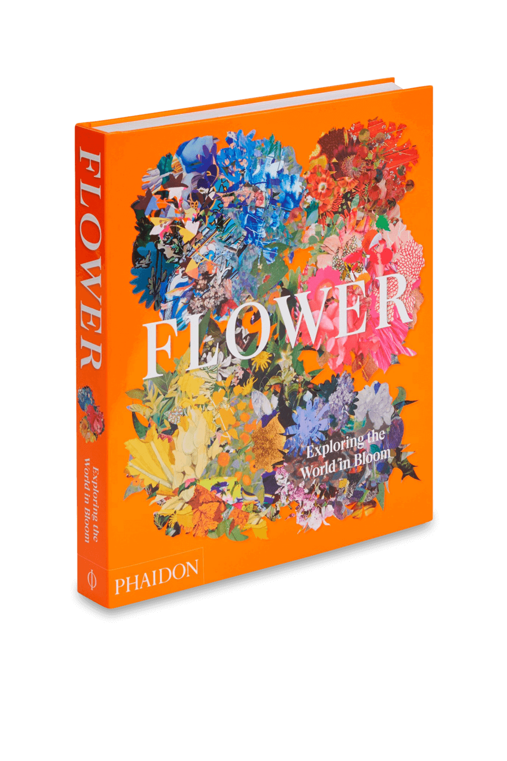 תמונה אחורית של Flower