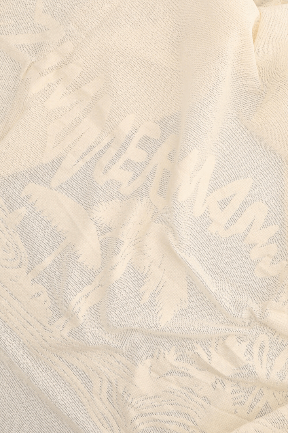 תמונה אחורית של פראו