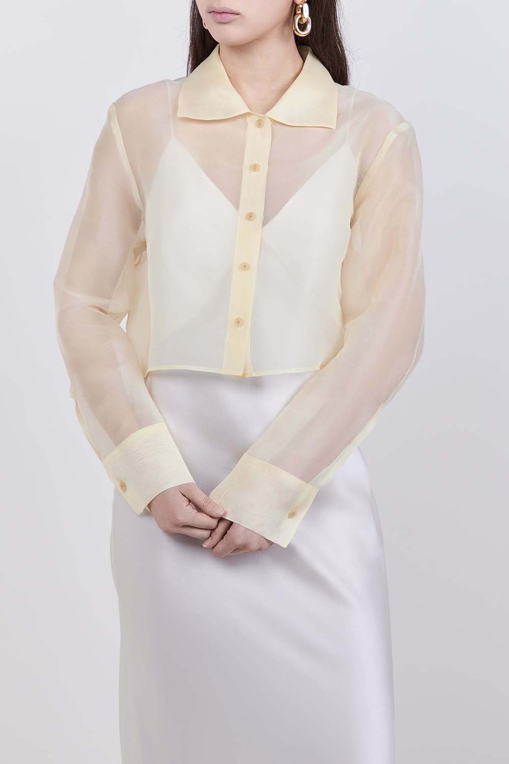 תמונת דוגמן קידמית של חולצה מכופתרת קרופ