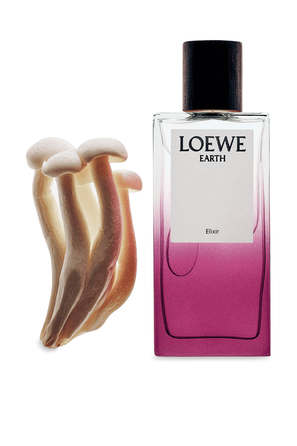 תמונת תקריב של LOEWE Earth Elixir 100 ml