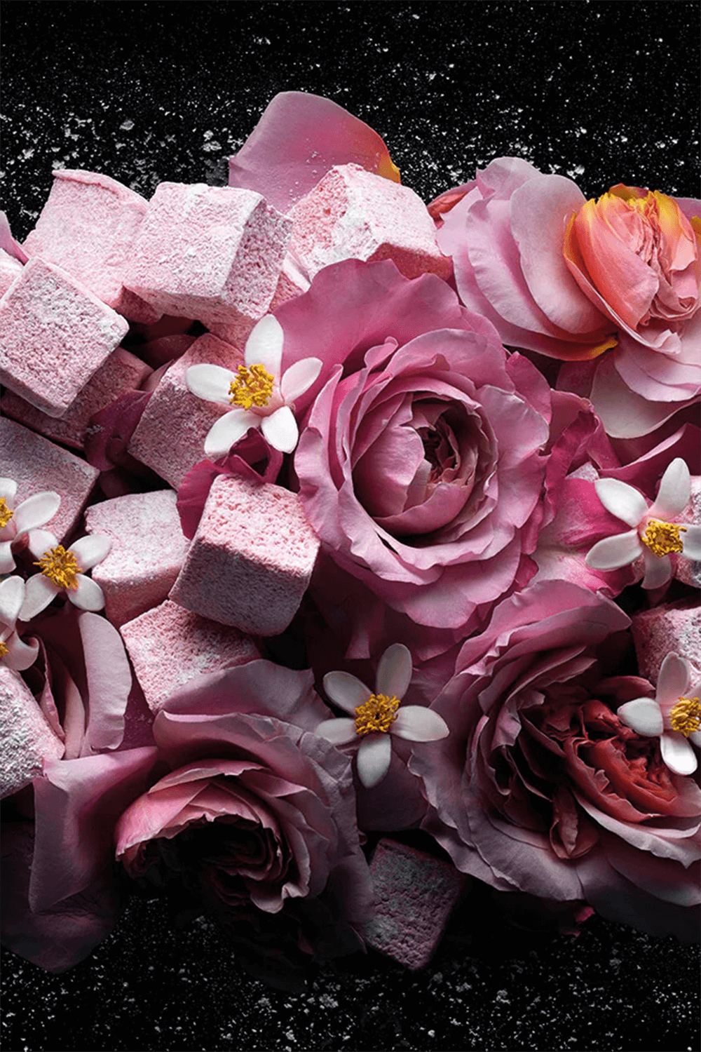 תמונת תקריב של Love Don’t Be Shy the Icon Set Eau de Parfum 50 ml+7.5 ml