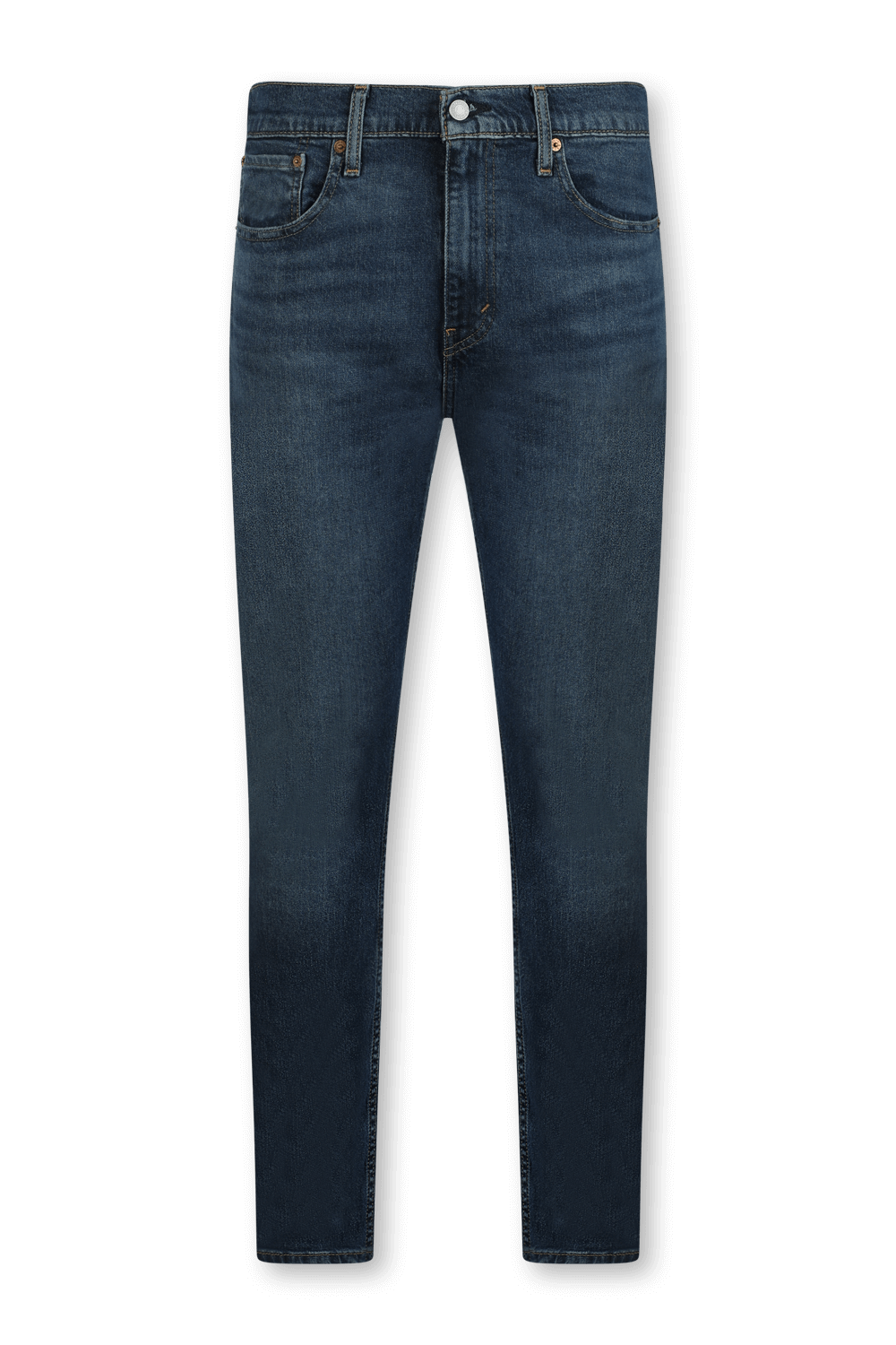 longchamp ambassador