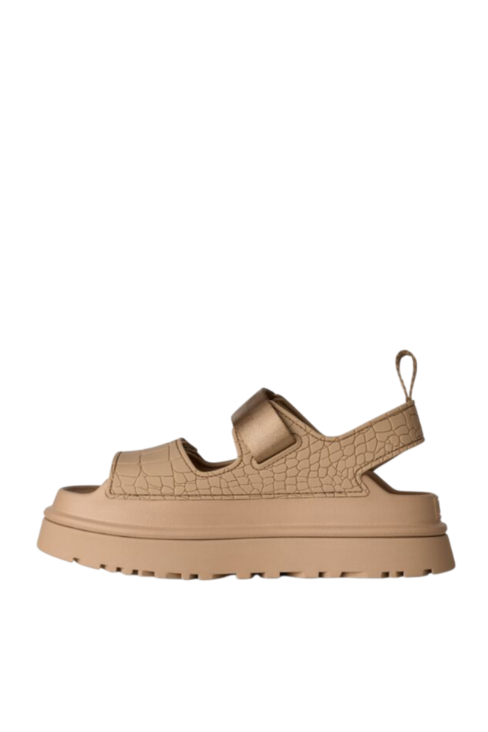 תמונה אחורית של סנדלי גולדן גלאו