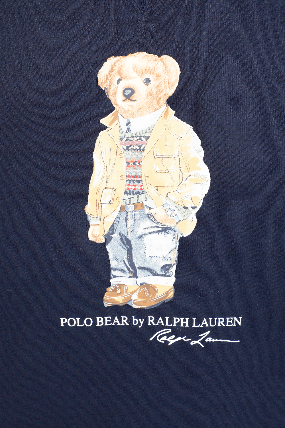 תמונה אחורית של Polo Bear Fleece Sweatshirt in Navy