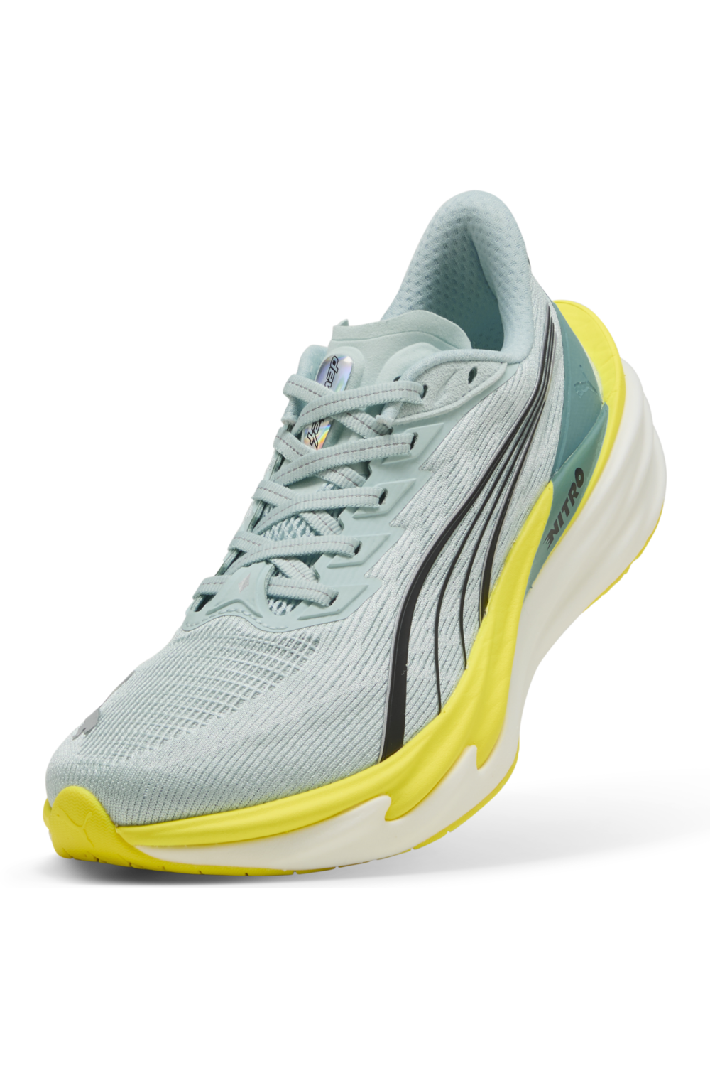 נעלי סניקרס