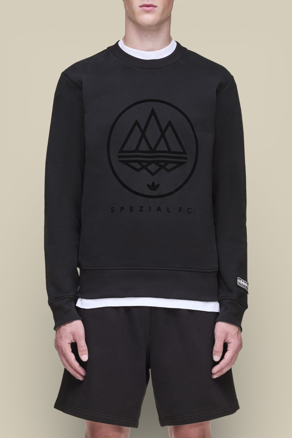 תמונת דוגמן קידמית של סווטשירט