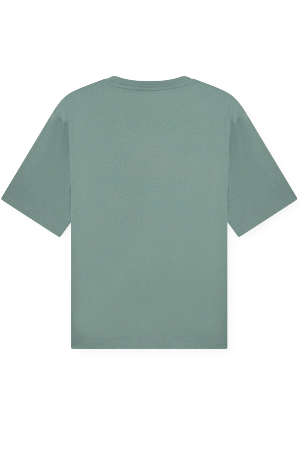 תמונה אחורית של חולצת טי