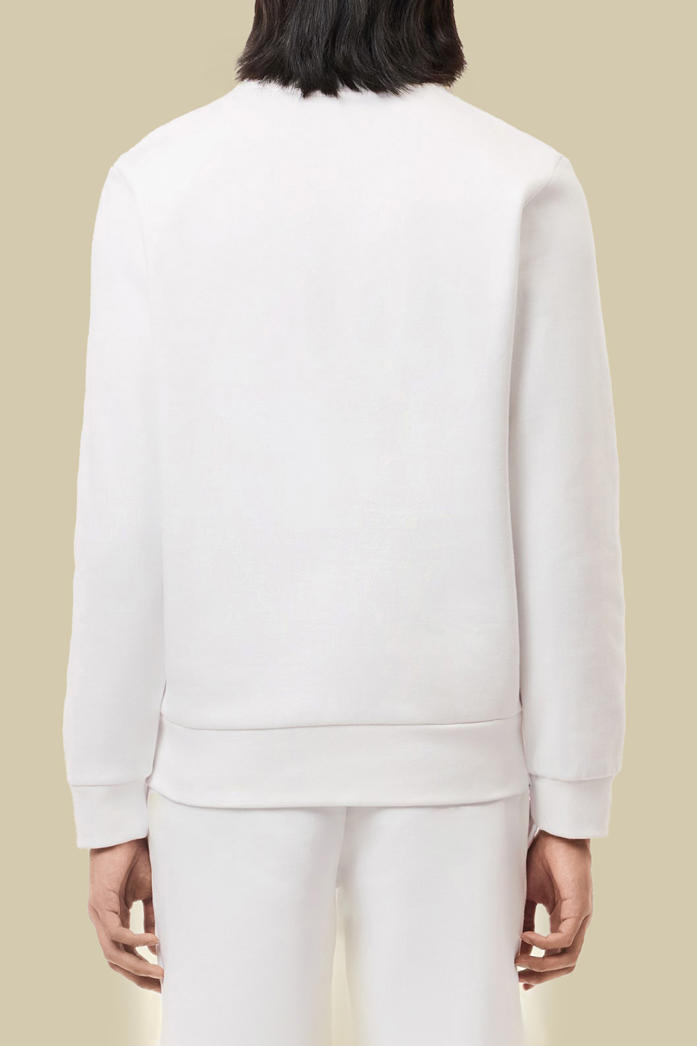 תמונת דוגמן אחורית של סווטשירט עם צווארון מעוגל