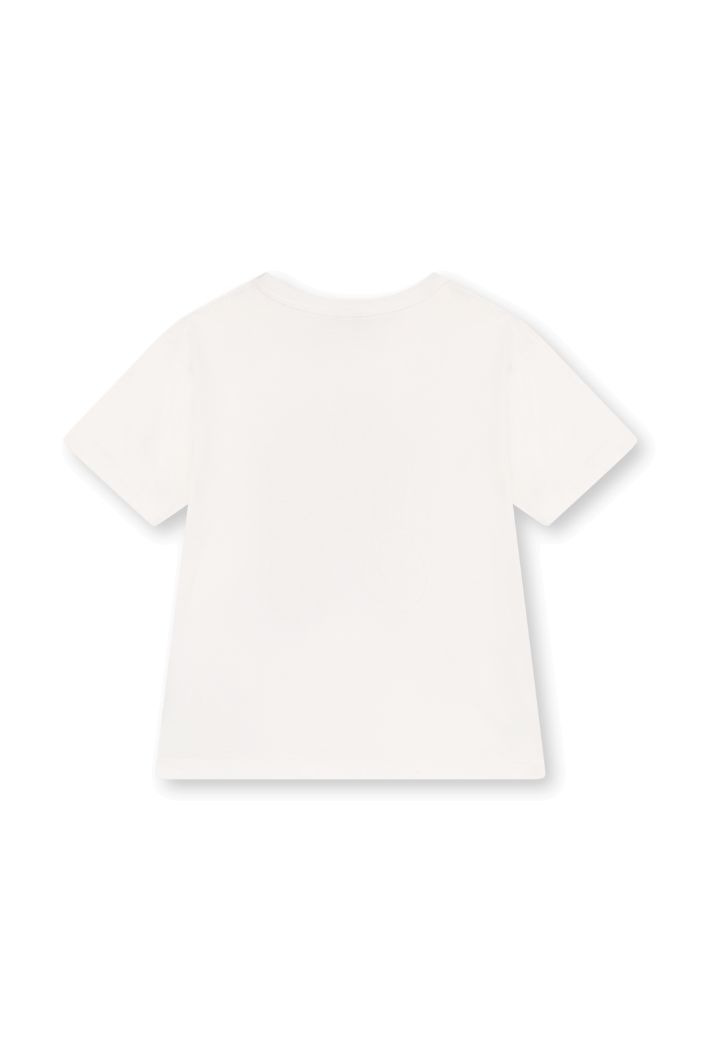 תמונה אחורית של חולצת טי