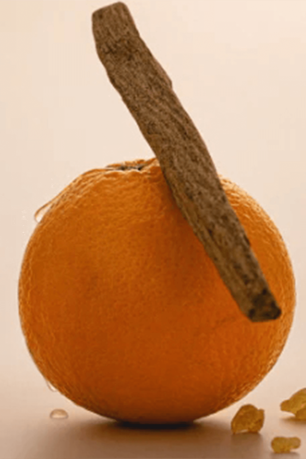 תמונה אחורית של Orange Crush Extrait de Parfum 100 ML