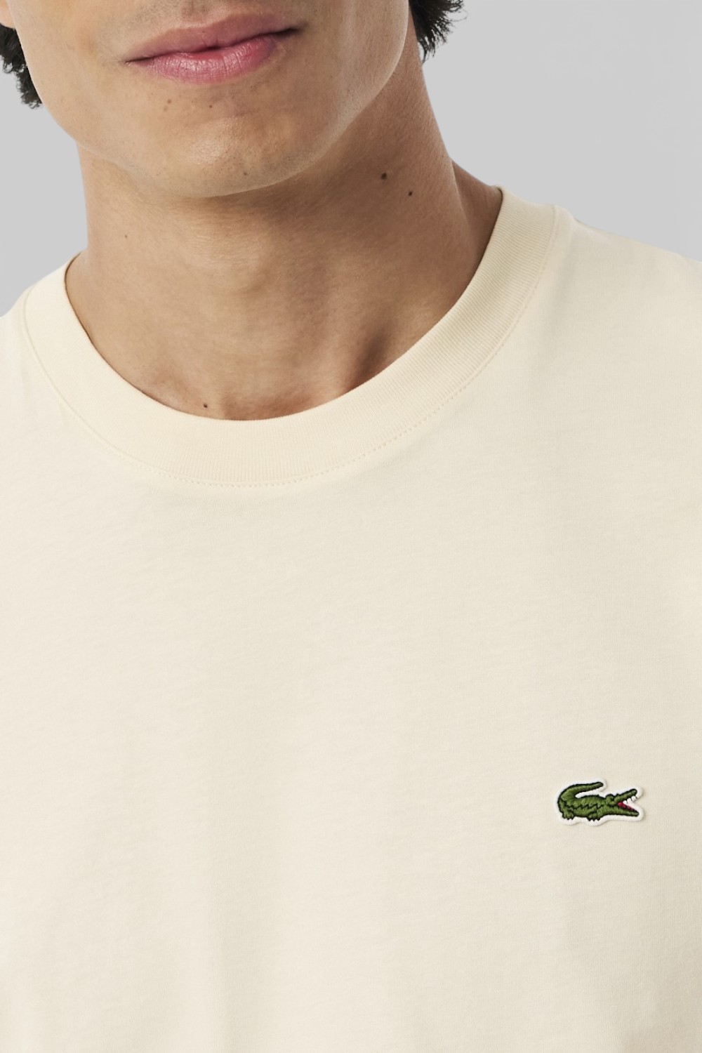 תמונת תקריב דוגמן של חולצת טי בגזרה ישרה