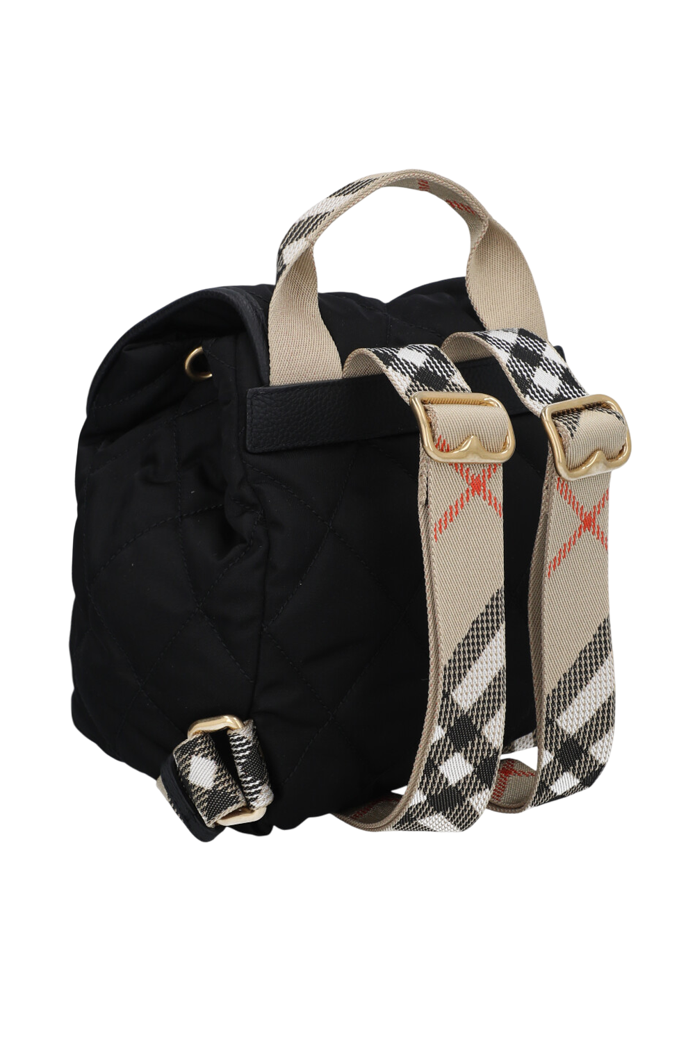 תמונה אחורית של תיק גב mini