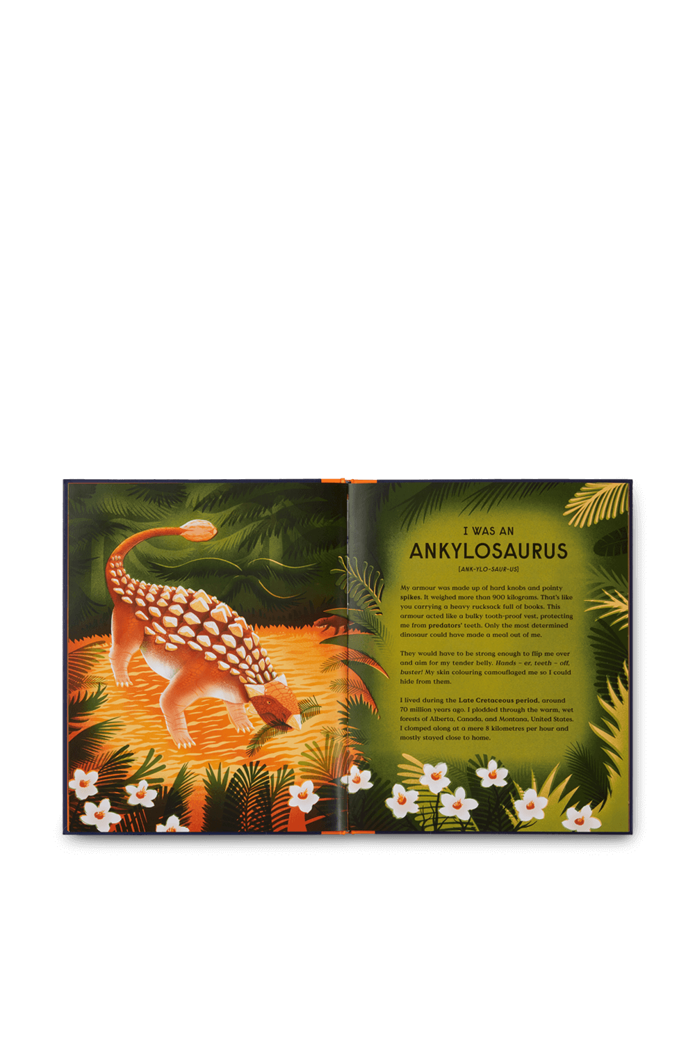 תמונת תקריב של Book of Dinosaurs