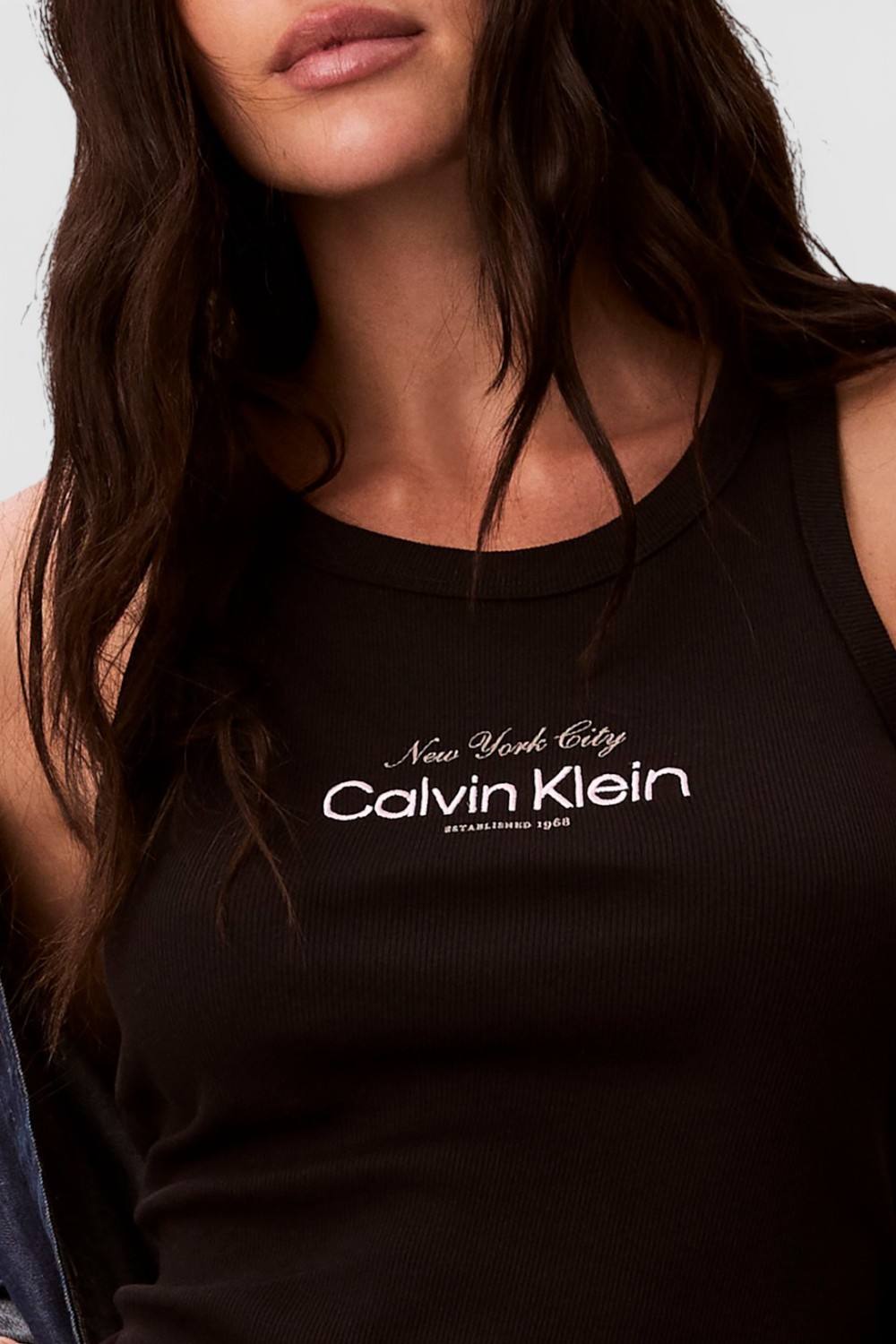 תמונת תקריב דוגמן של גופית ריב