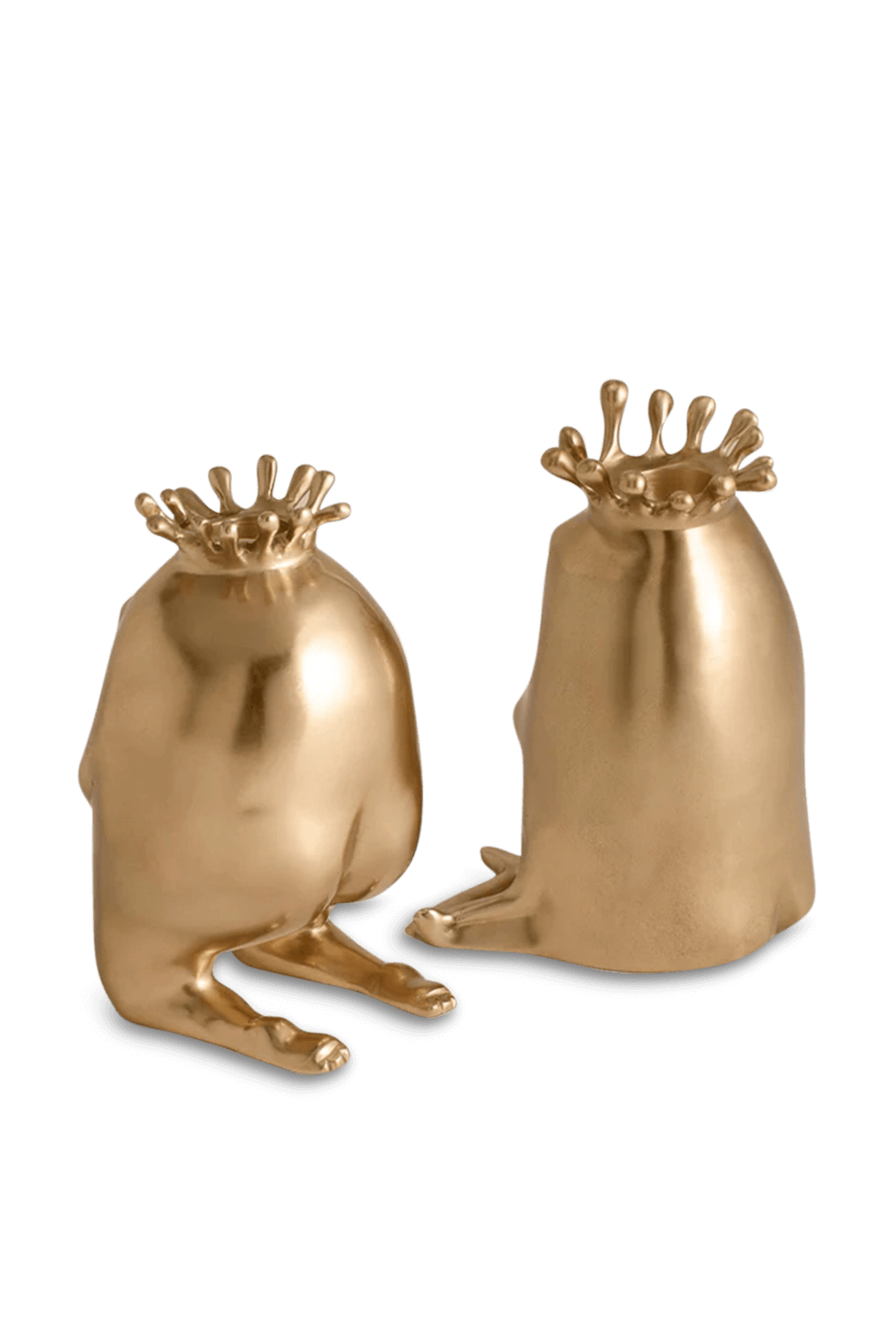 תמונת תקריב של זוג פמוטים