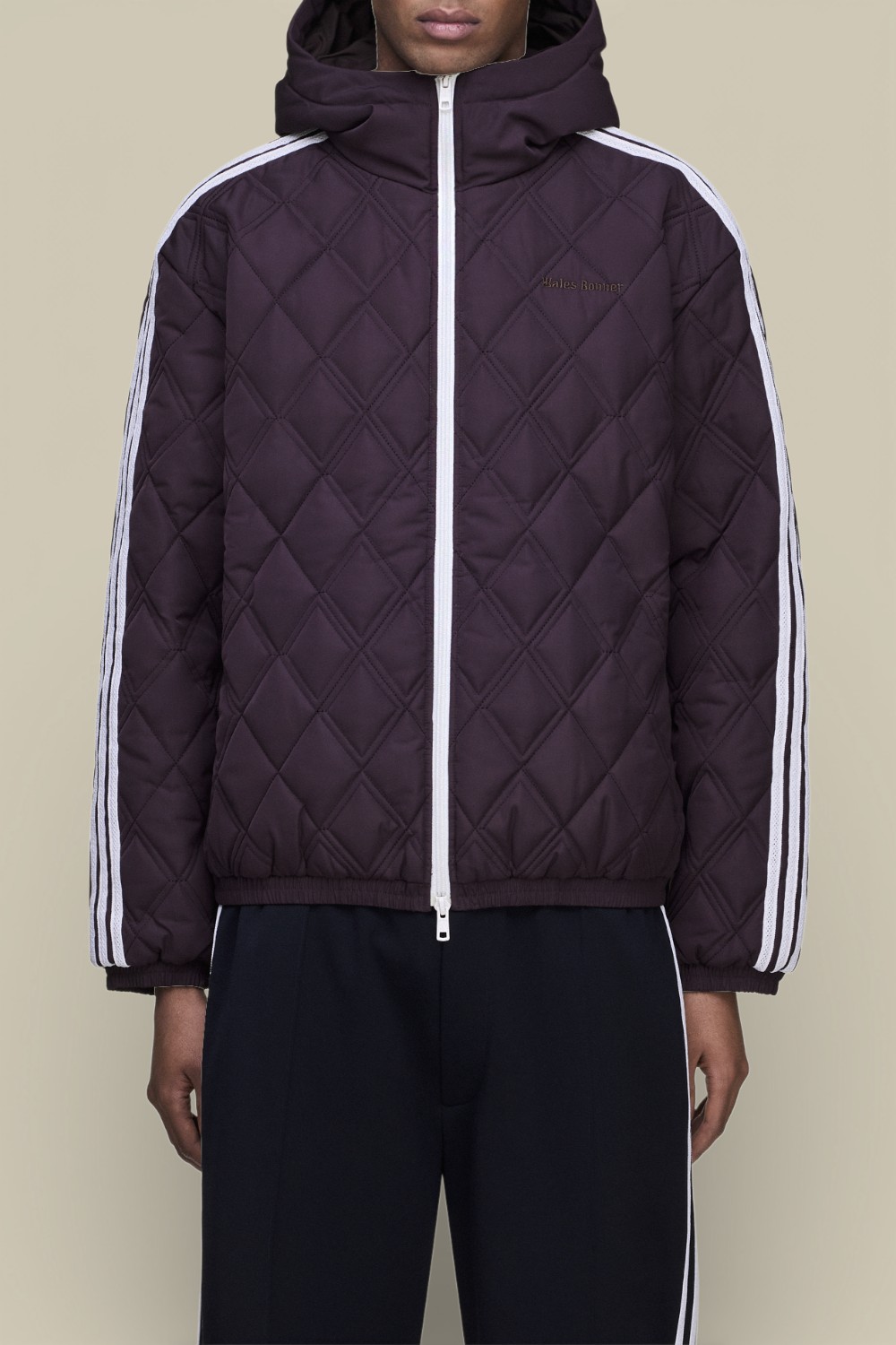 תמונת דוגמן קידמית של ז'קט קפוצ'ון