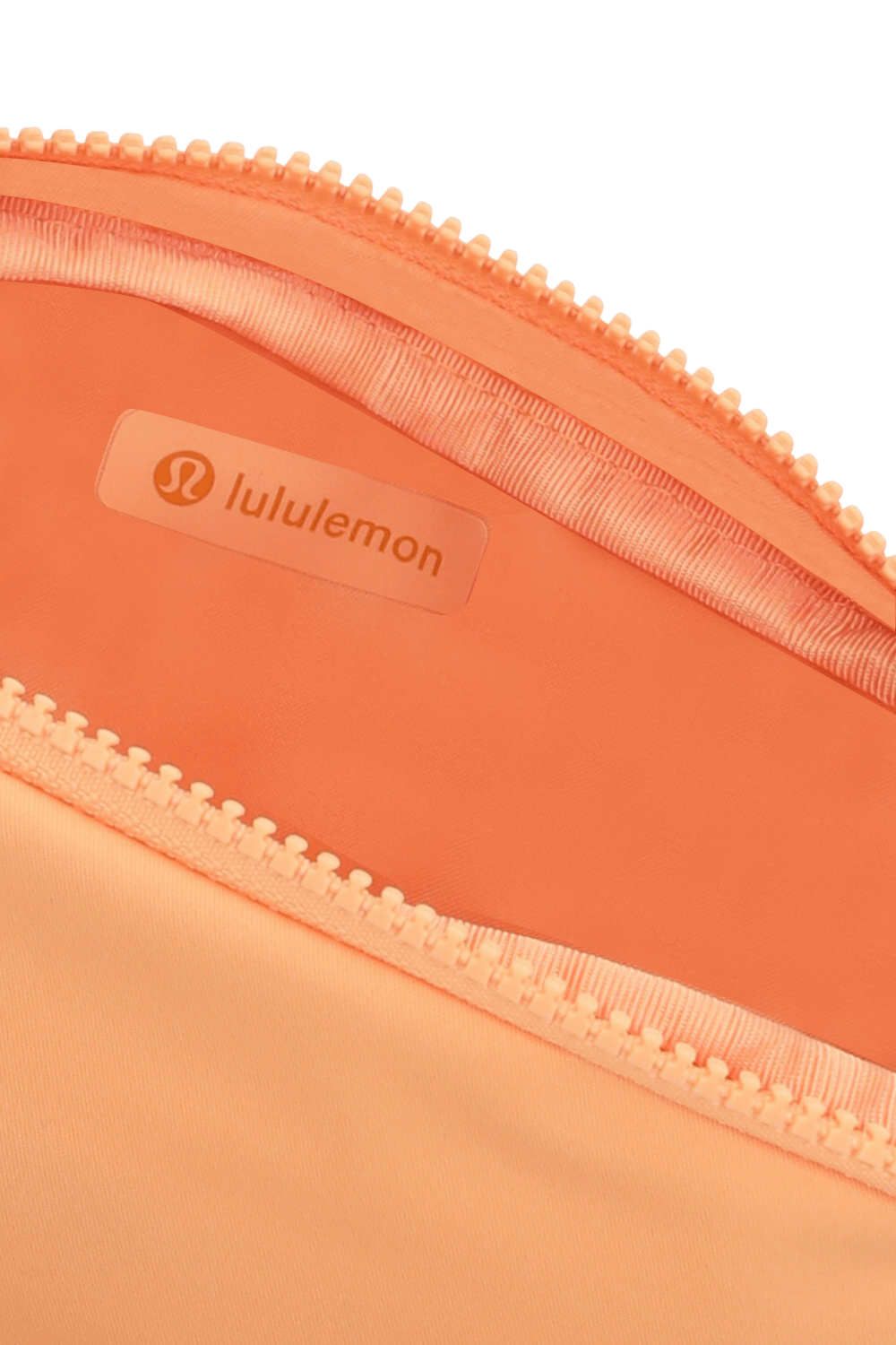 תמונת פנים של Everywhere Belt Bag