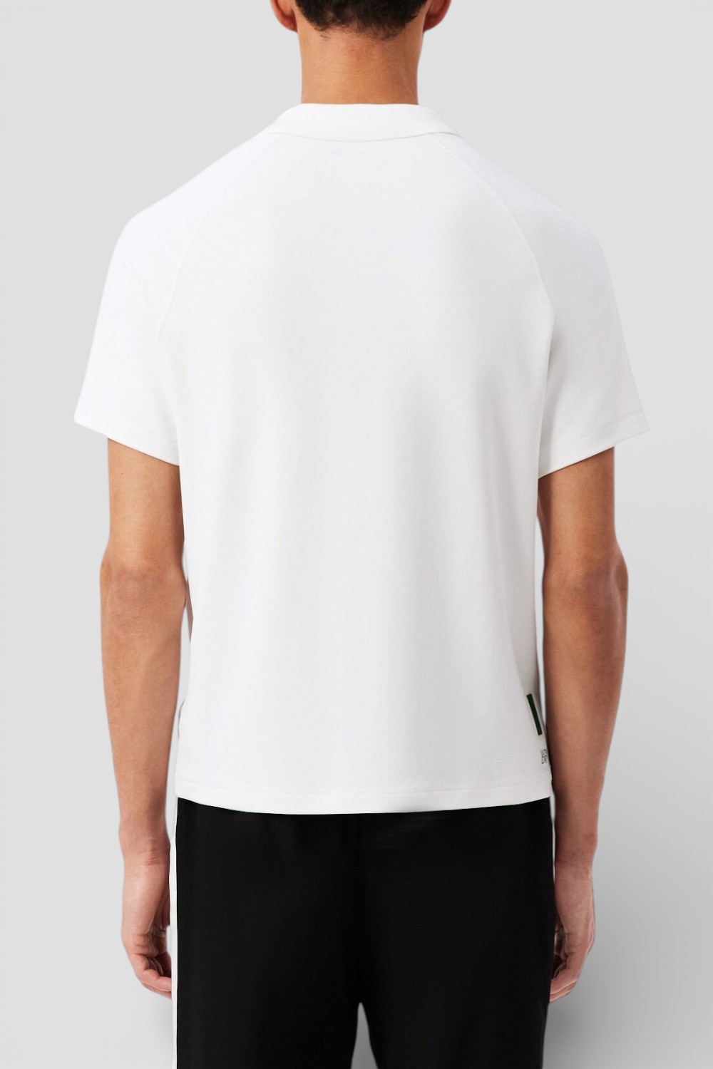 תמונת דוגמן אחורית של חולצת פולו