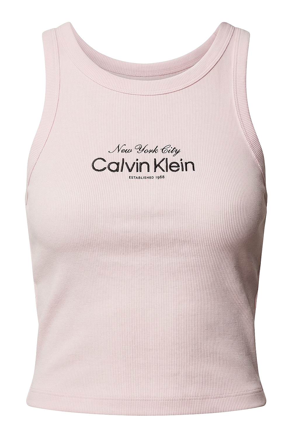 תמונה קידמית של גופית ריב