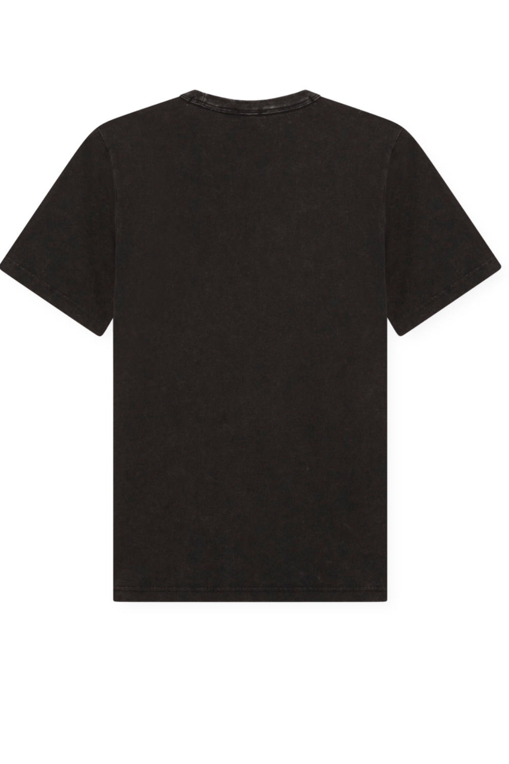 תמונה אחורית של חולצת טי