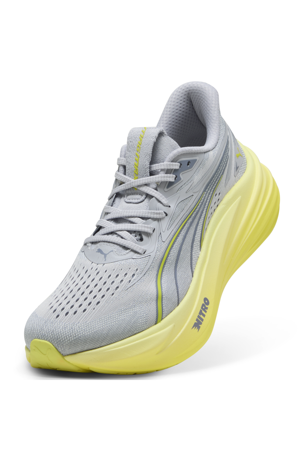 נעלי סניקרס