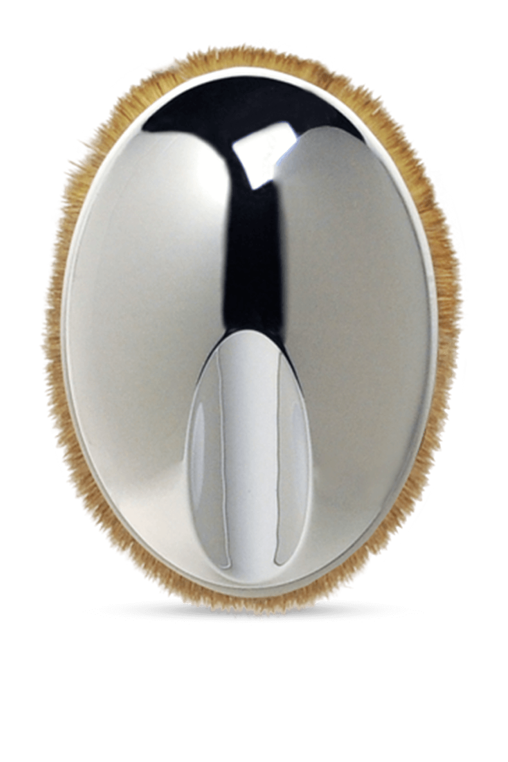 תמונה אחורית של Palm Brush Mini