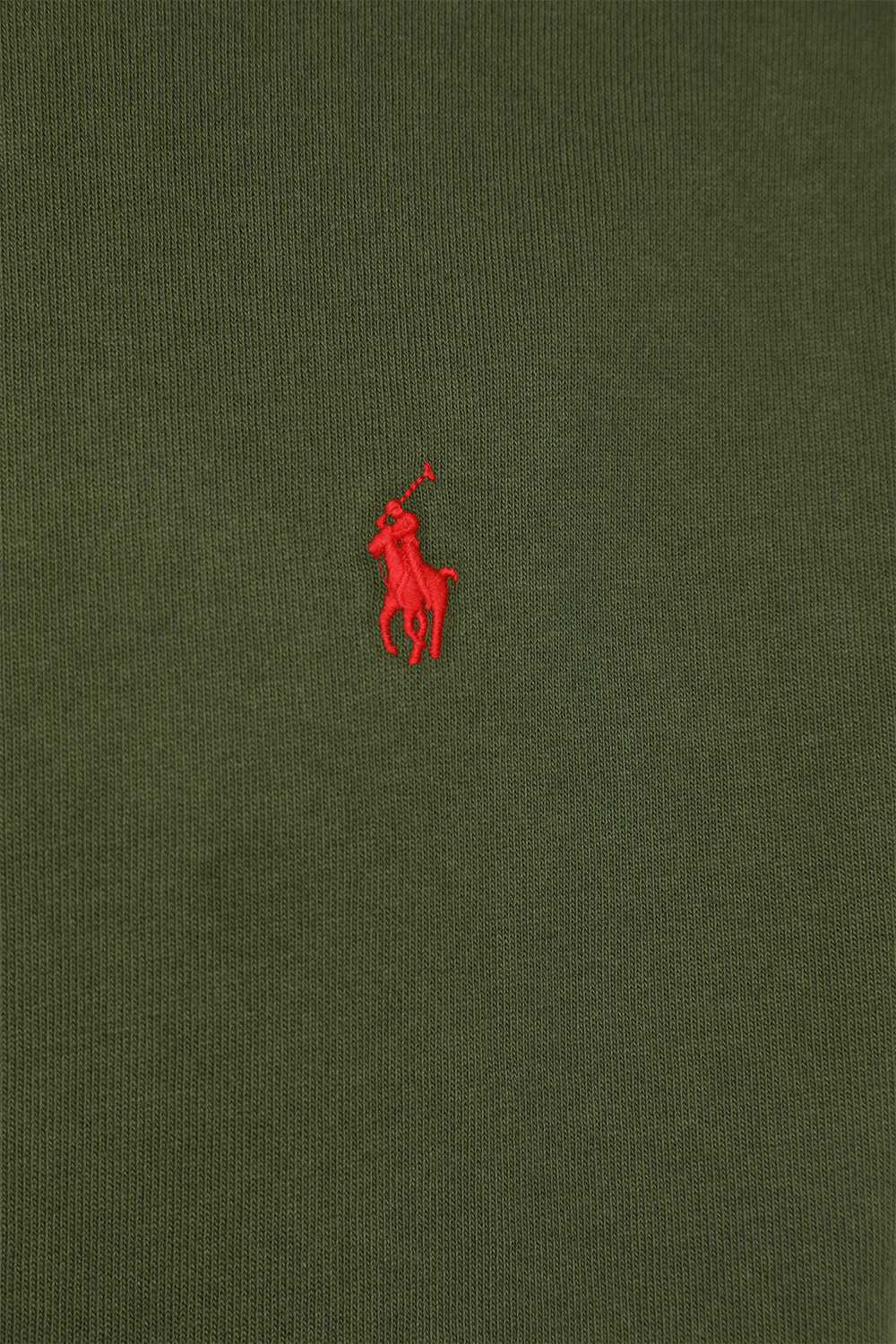 תמונה אחורית של Crewneck T-Shirt in Dark Green