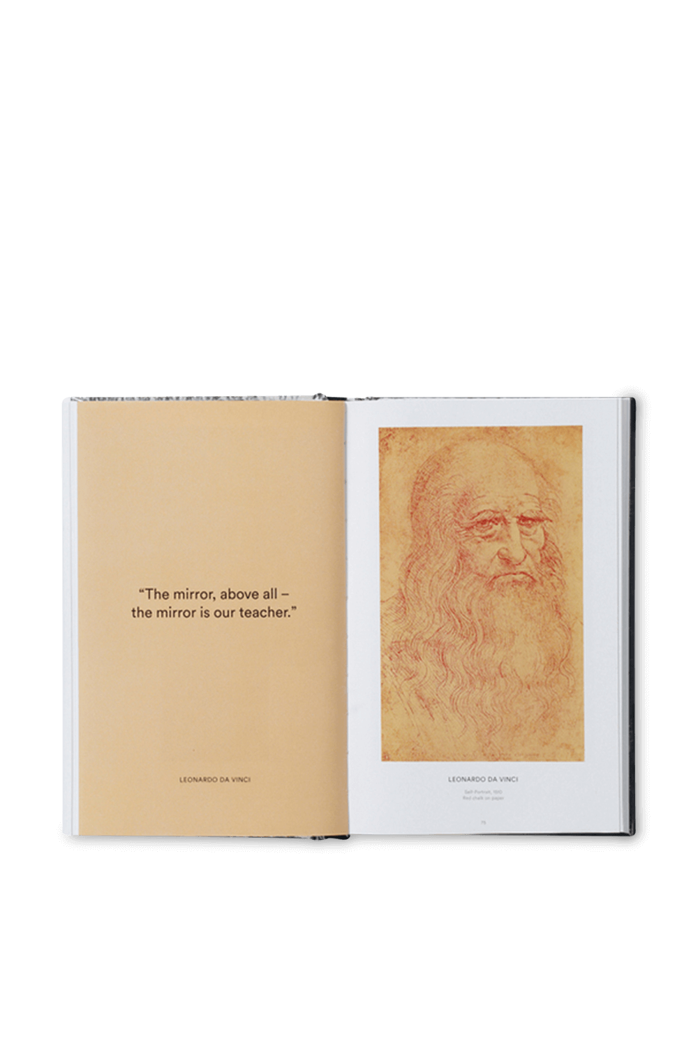 תמונה אחורית של 500 Self-Portraits