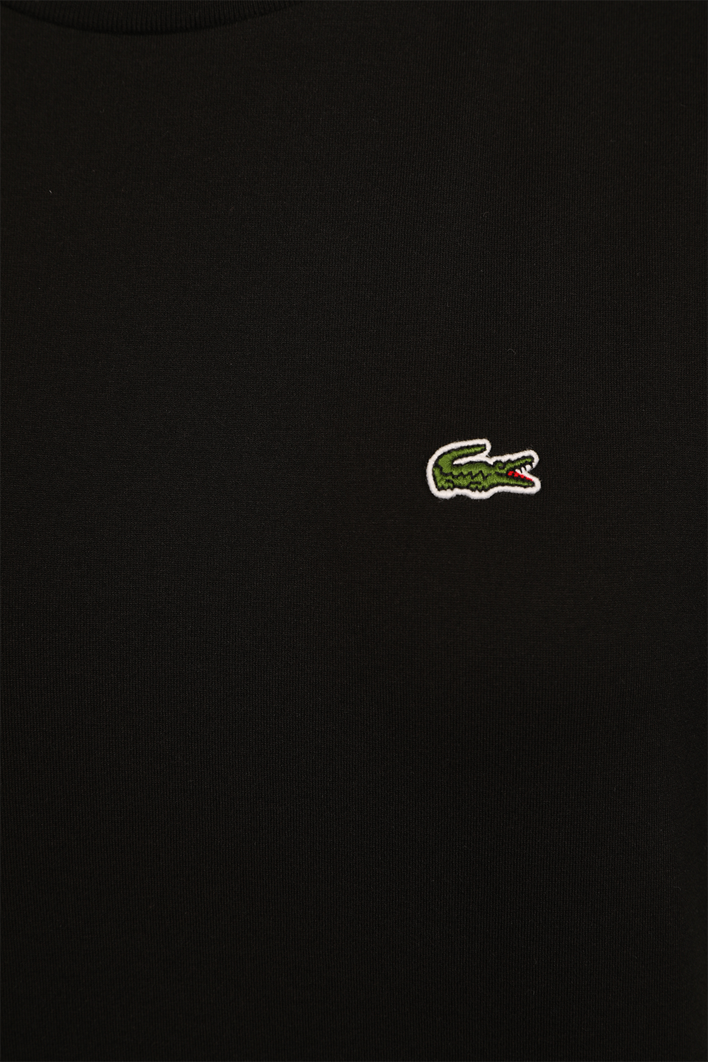 חולצת טי בייסיק עם לוגו רקום LACOSTE