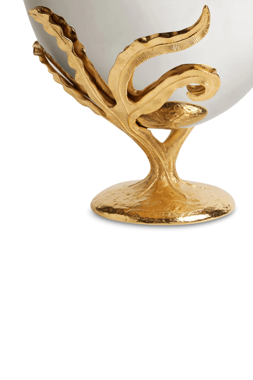 תמונת פנים של שמפנייר