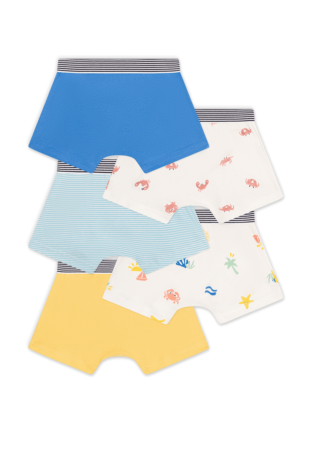 תמונה אחורית של מארז חמישה תחתוני בוקסר