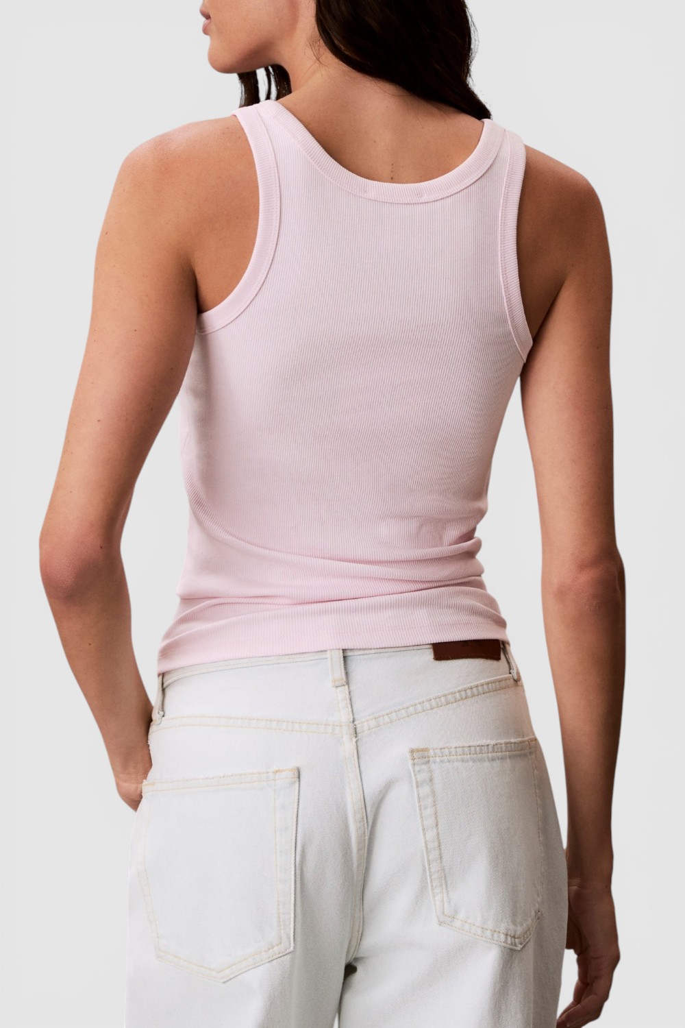 תמונת דוגמן אחורית של גופית ריב