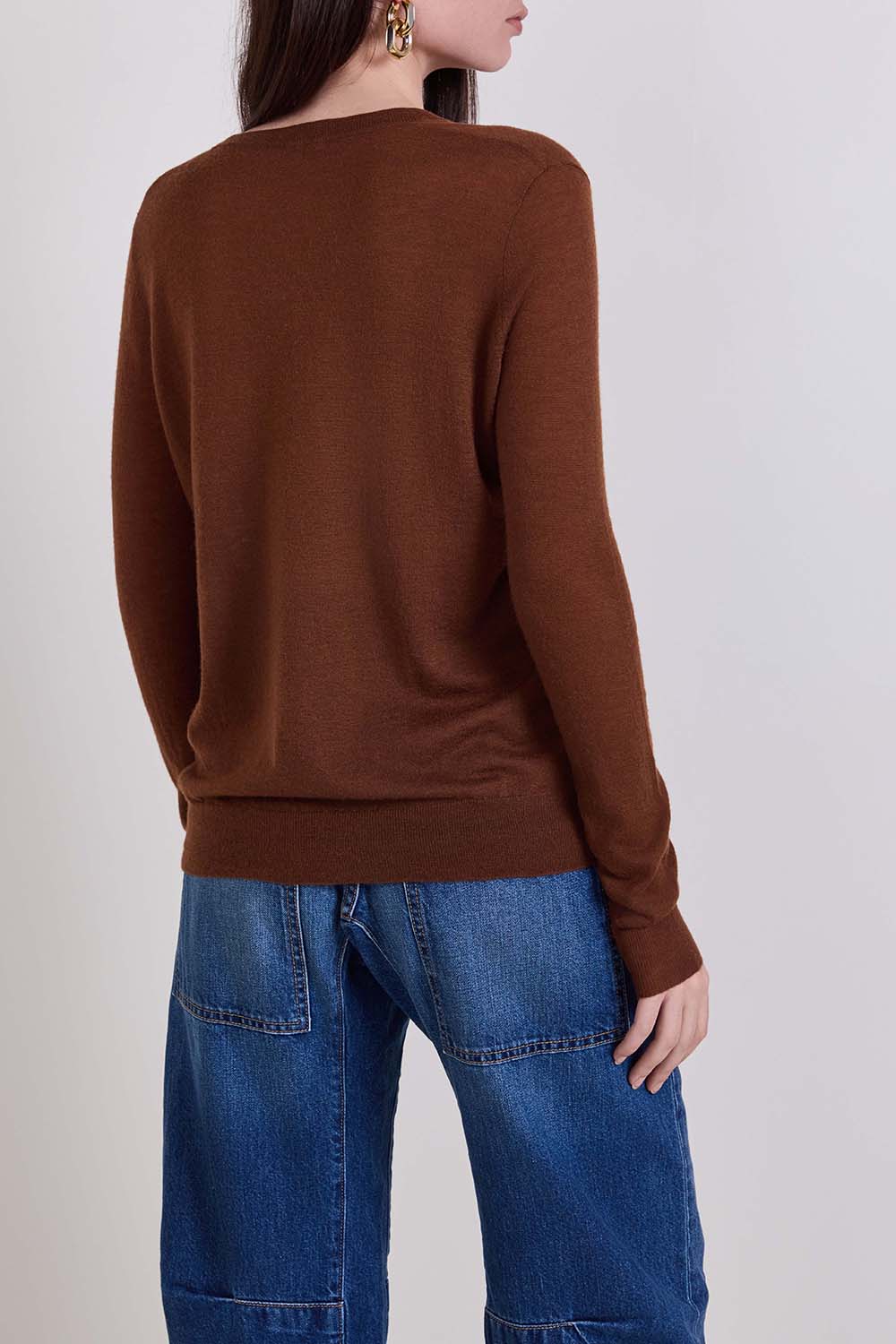 תמונת דוגמן אחורית של סריג קשמיר