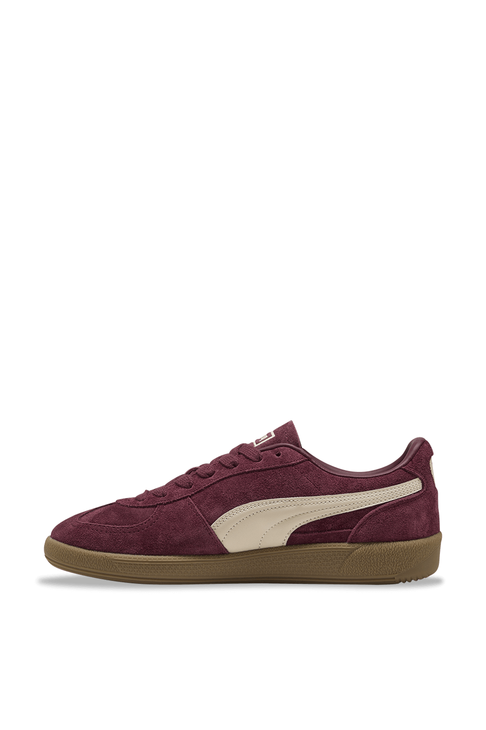 תמונה אחורית של נעלי סניקרס פאלרמו