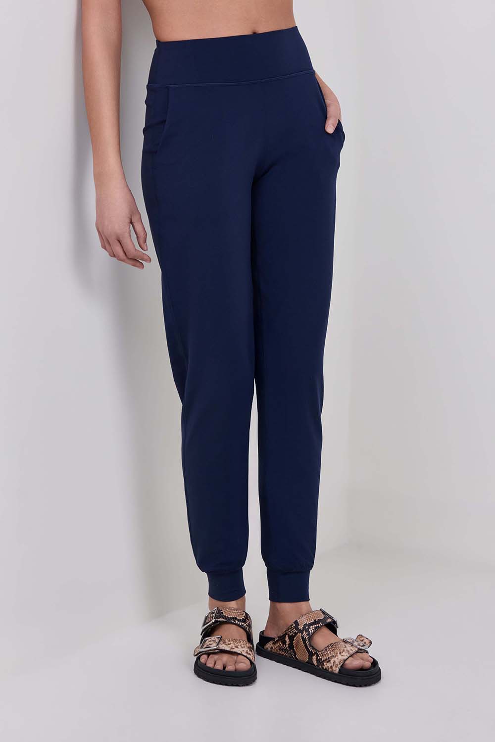 תמונת דוגמן קידמית של lululemon Align&trade; High-Rise Jogger Regular