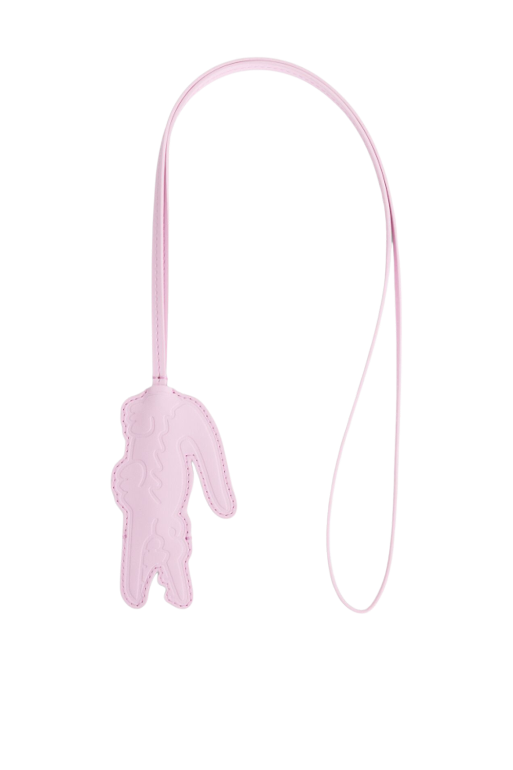 תמונה קידמית של מחזיק מפתחות