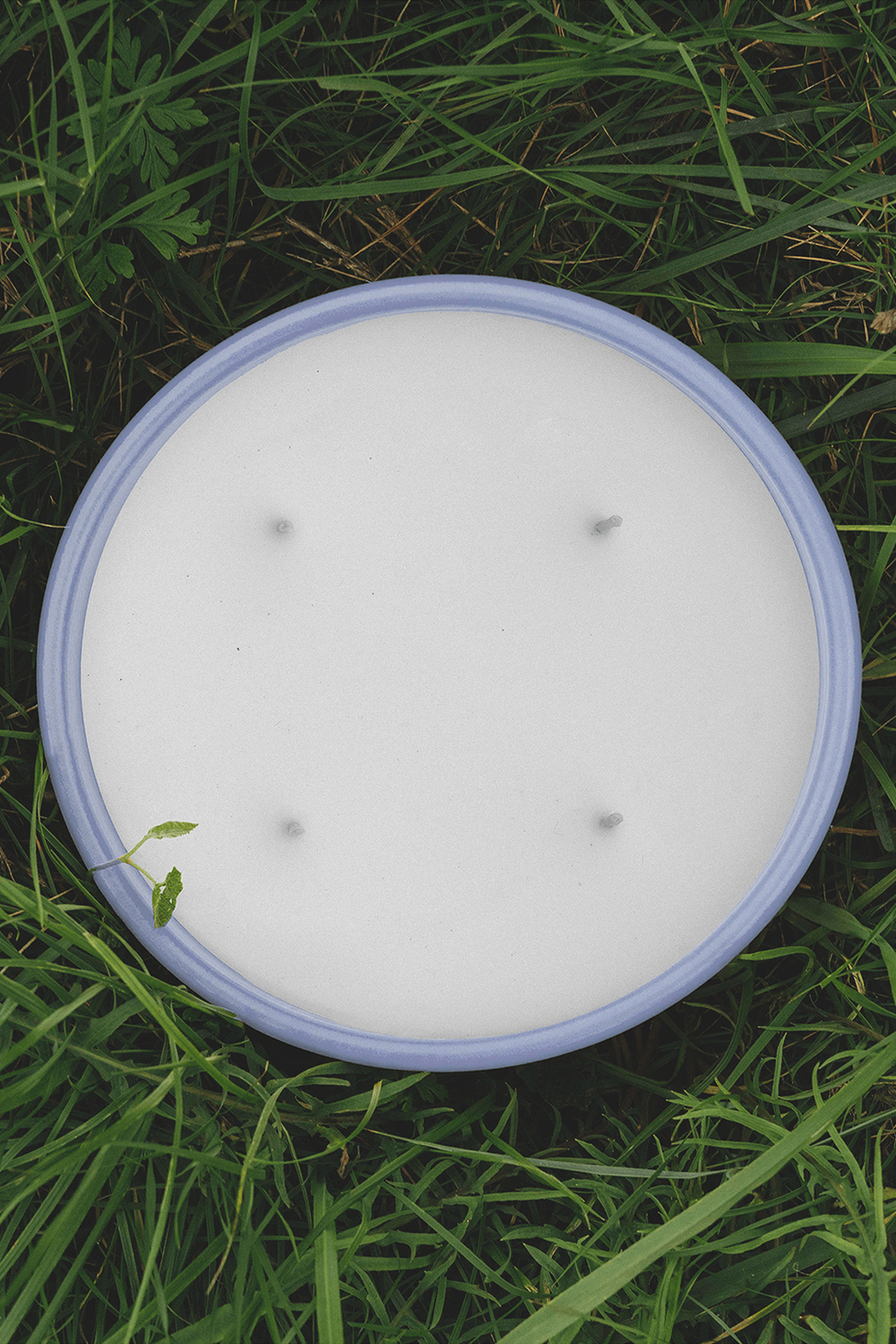 תמונת פנים של Loewe Verbena Outdoor Scented Candle