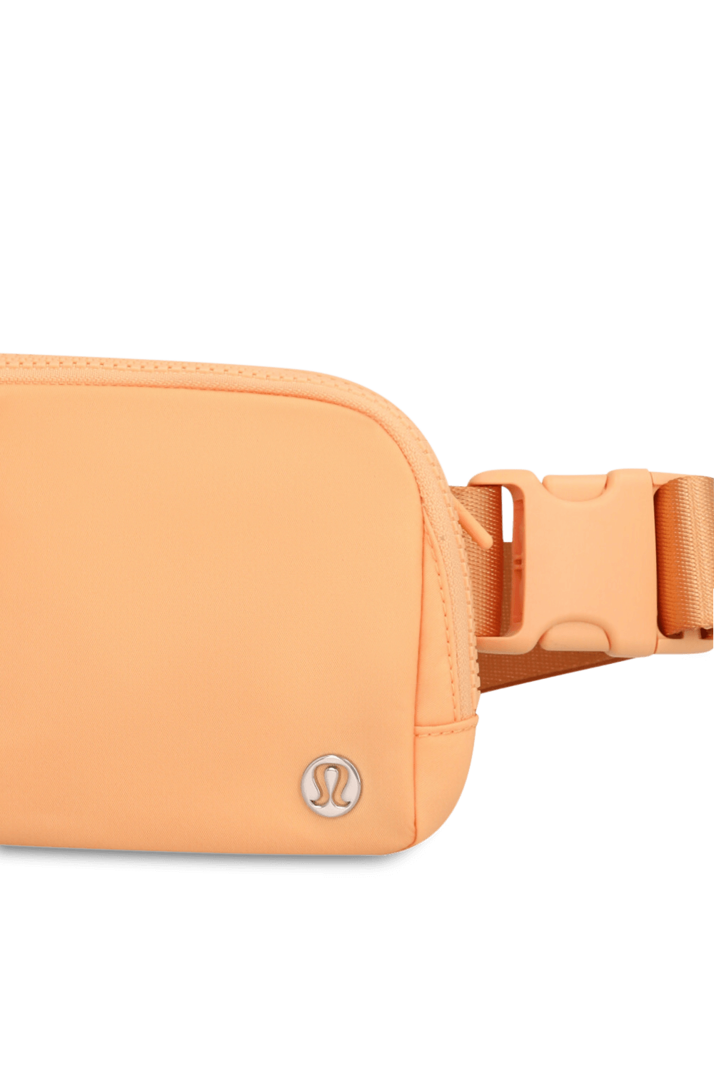 תמונת תקריב של Everywhere Belt Bag