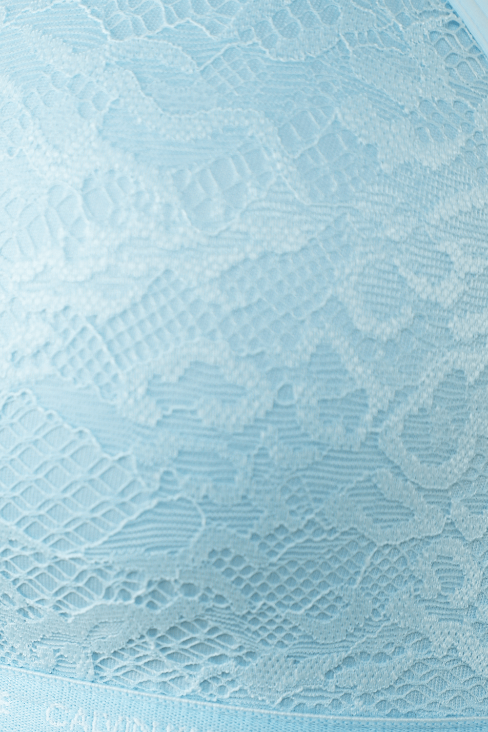 תמונה אחורית של חזיית תחרה תכלת