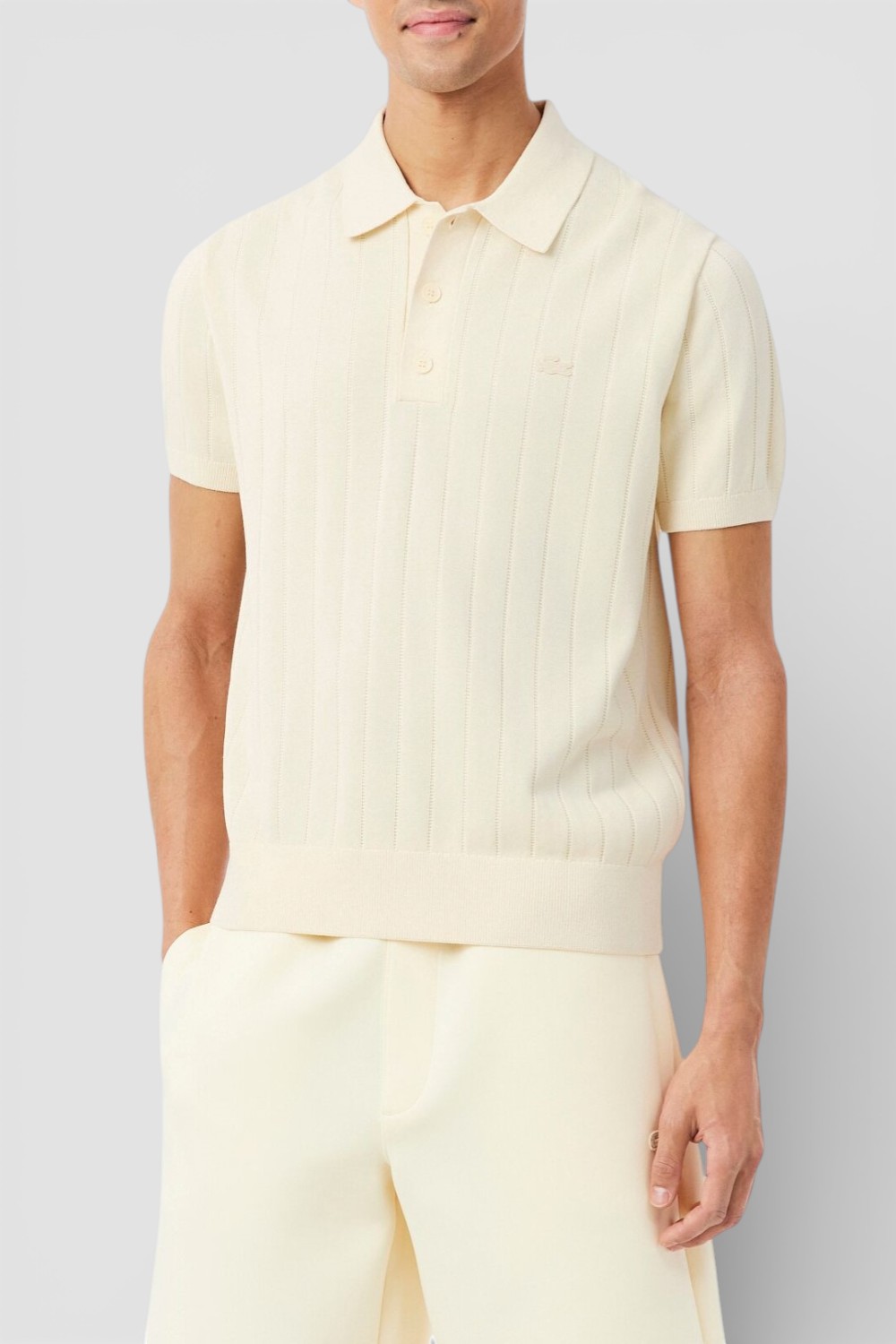 תמונת דוגמן קידמית של חולצת פולו